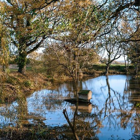 Charming Picturesque Cottage - Nr Tenterden & Rye, Pets Welcomed Rolvenden 外观 照片