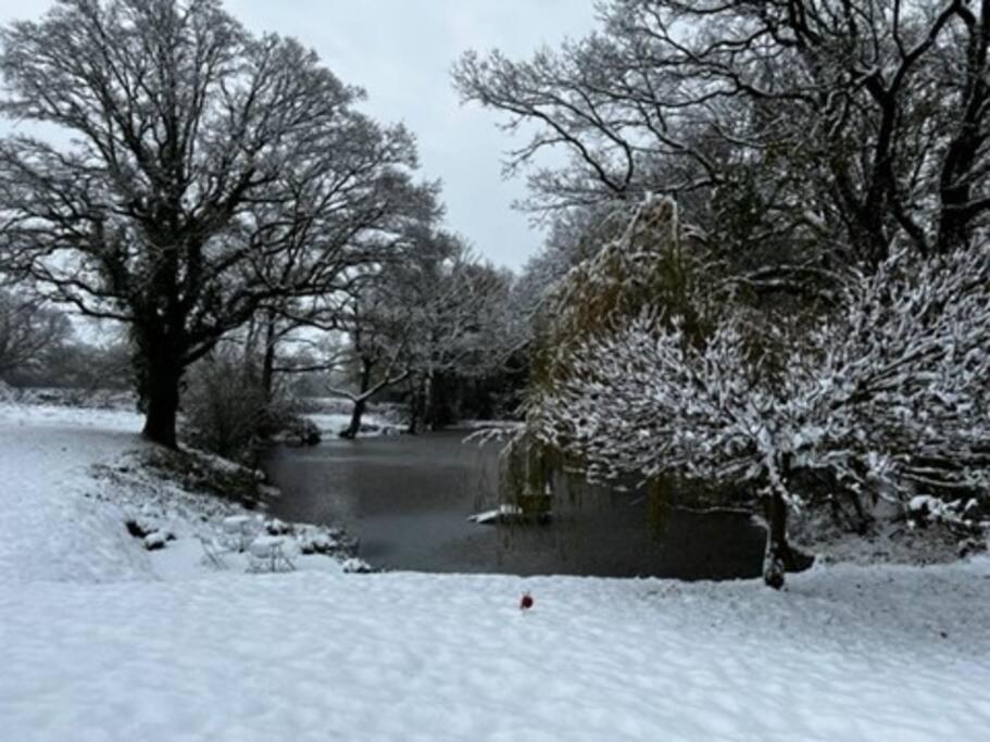 Charming Picturesque Cottage - Nr Tenterden & Rye, Pets Welcomed Rolvenden 外观 照片