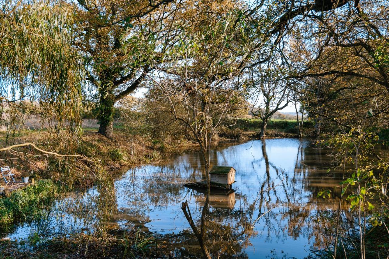 Charming Picturesque Cottage - Nr Tenterden & Rye, Pets Welcomed Rolvenden 外观 照片